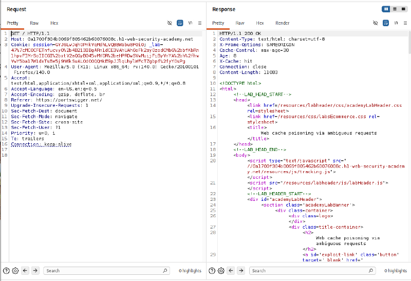 Figure 1: Initial Request and Response confirming Web Cache headers and tracking.js path