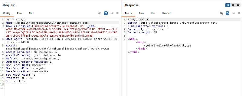 Figure 1: Test request directing the Host header to a Burp Collaborator domain