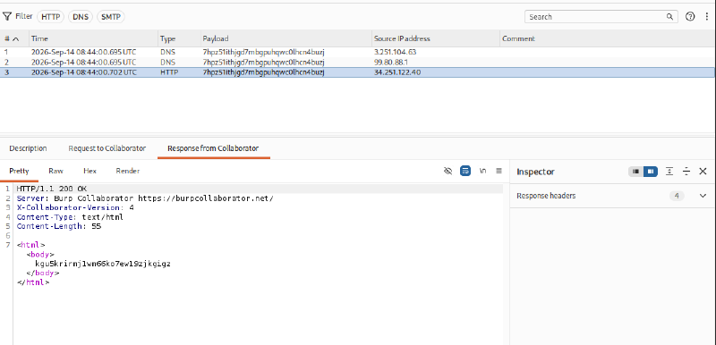 Figure 2: Collaborator tab logging DNS and HTTP interactions demonstrating arbitrary proxy routing