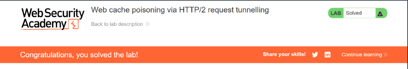 Figure 17: PortSwigger Web Security Academy confirmation banner indicating lab solved
